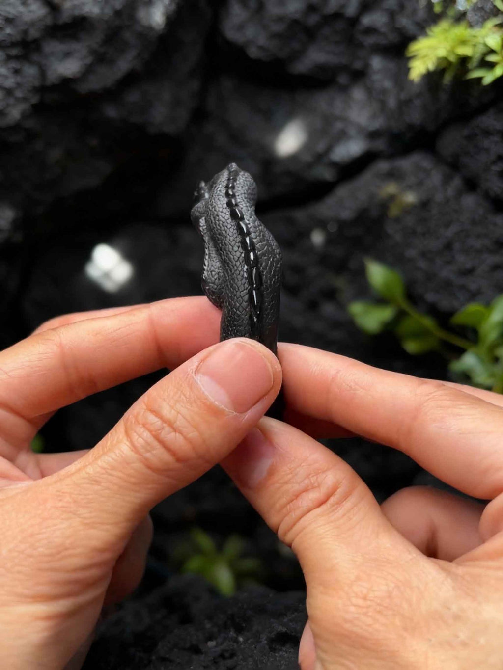 Obsidian Dragon Bangle - WildFire Atelier